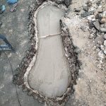 WhatsApp-Image-2025-04-23-at-18.21.35