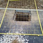 WhatsApp-Image-2025-04-24-at-18.17.01