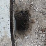 WhatsApp-Image-2025-05-24-at-18.14.57