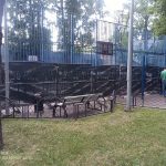 WhatsApp-Image-2025-06-04-at-18.37.48