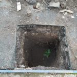 WhatsApp-Image-2025-06-09-at-19.56.51