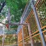 WhatsApp-Image-2025-06-27-at-20.11.05-1