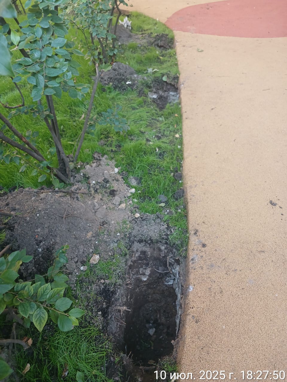 WhatsApp-Image-2025-07-10-at-18.31