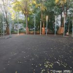 WhatsApp-Image-2025-07-10-at-19.55.53