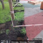 WhatsApp-Image-2025-08-05-at-18.59.30