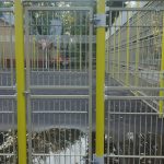 WhatsApp-Image-2025-08-05-at-19.12.03-1