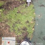 WhatsApp-Image-2025-08-07-at-18.00.34