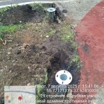 WhatsApp-Image-2025-08-07-at-18.00.34-2