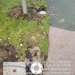 WhatsApp-Image-2025-08-08-at-08.59.44-1