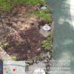 WhatsApp-Image-2025-08-08-at-08.59.46