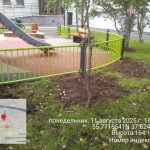 WhatsApp-Image-2025-08-11-at-17.01.40