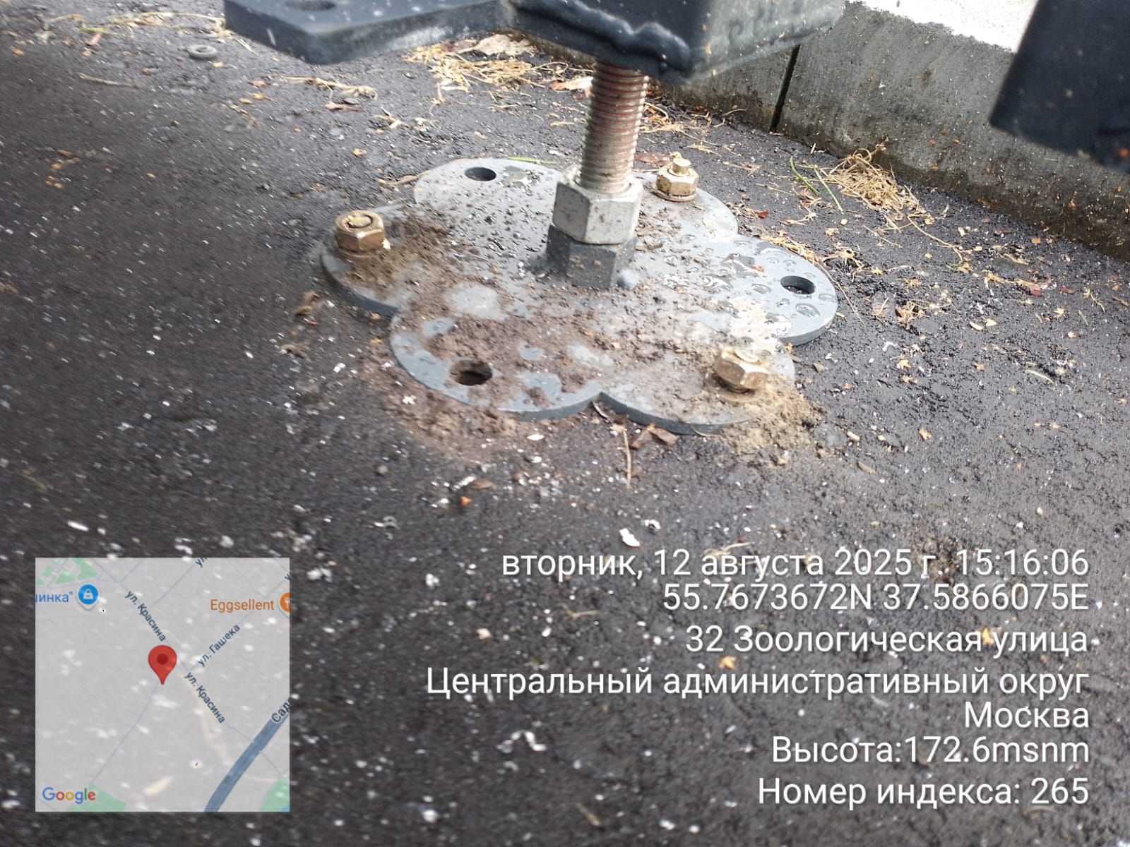 WhatsApp-Image-2025-08-12-at-15.17