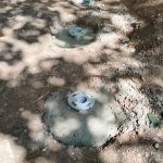 WhatsApp-Image-2025-08-13-at-12.32.41-1