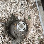 WhatsApp-Image-2025-08-24-at-18.37.51