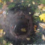 WhatsApp-Image-2025-10-13-at-17.53.44-1