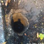 WhatsApp-Image-2025-10-13-at-17.53.44