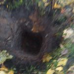 WhatsApp-Image-2025-10-13-at-17.53.44-2