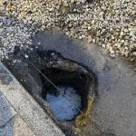 WhatsApp-Image-2025-10-14-at-18.05.52-1