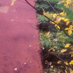 WhatsApp-Image-2025-10-14-at-18.06.14