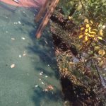 WhatsApp-Image-2025-10-14-at-18.06.15-1