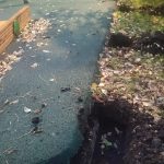 WhatsApp-Image-2025-10-14-at-18.06.15