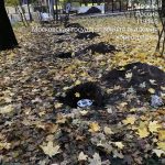 WhatsApp-Image-2025-10-16-at-17.58.58