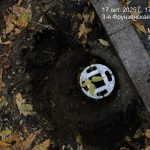 WhatsApp-Image-2025-10-17-at-17.50.34-1