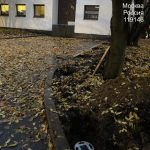 WhatsApp-Image-2025-10-17-at-17.50.35-2