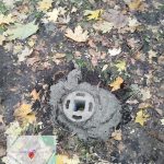 WhatsApp-Image-2025-10-18-at-11.29.56