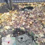 WhatsApp-Image-2025-10-18-at-11.29.57-1