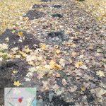 WhatsApp-Image-2025-10-18-at-11.29.57