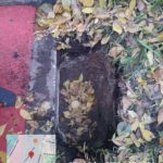 WhatsApp-Image-2025-10-18-at-17.26.21-1