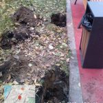 WhatsApp-Image-2025-10-18-at-17.26.21-2