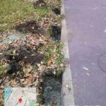 WhatsApp-Image-2025-10-18-at-17.26.22-1