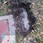 WhatsApp-Image-2025-10-18-at-17.26.22