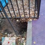 WhatsApp-Image-2025-10-18-at-17.26.24-1