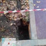 WhatsApp-Image-2025-10-18-at-17.26.24