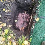 WhatsApp-Image-2025-10-18-at-18.04.30-2