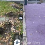 WhatsApp-Image-2025-10-19-at-16.58.11-2