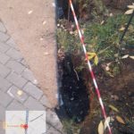 WhatsApp-Image-2025-10-20-at-18.04.51