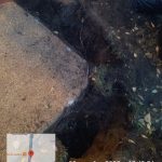 WhatsApp-Image-2025-10-20-at-18.04.53-2