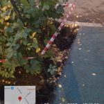 WhatsApp-Image-2025-10-22-at-18.00.58-1