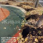 WhatsApp-Image-2025-10-22-at-18.02.28