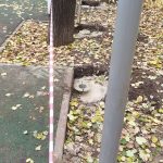 WhatsApp-Image-2025-10-23-at-12.42.56