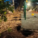 WhatsApp-Image-2025-10-23-at-17.55.34