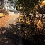 WhatsApp-Image-2025-10-23-at-17.55.34-2