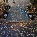 WhatsApp-Image-2025-10-24-at-18.29.57-1