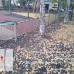 WhatsApp-Image-2025-10-24-at-18.30.08-1