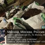 WhatsApp-Image-2025-10-25-at-18.18.38