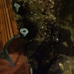 WhatsApp-Image-2025-10-25-at-18.18.39-1